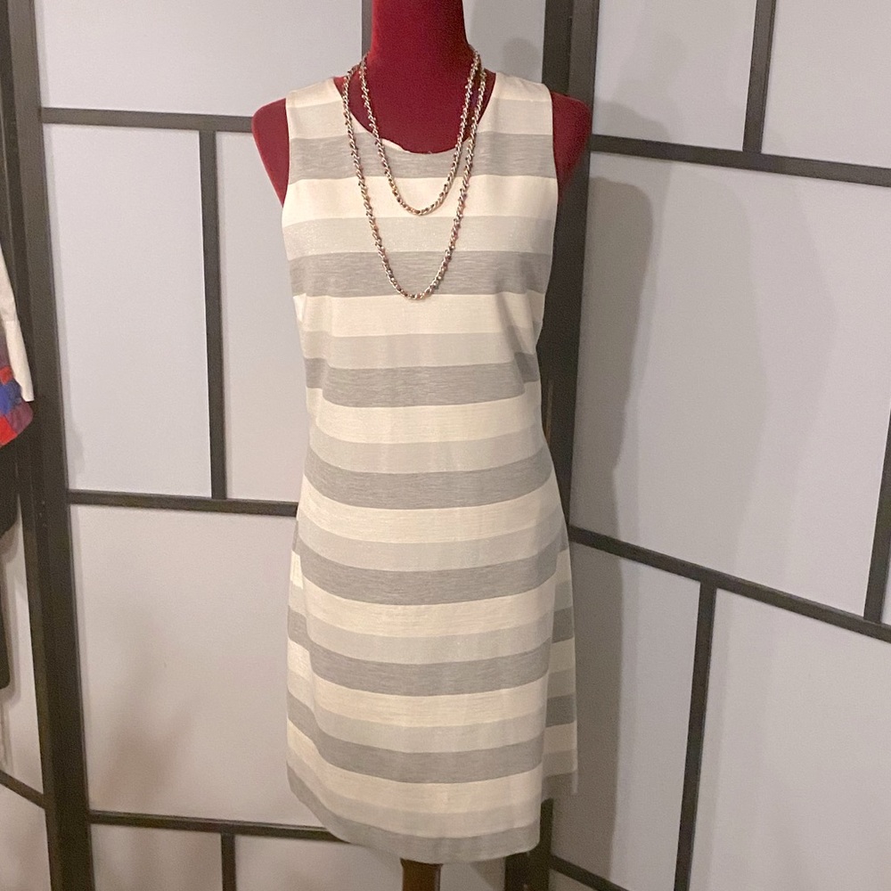 Banana Republic Women’s Striped Bodycon Mini Dress (12)